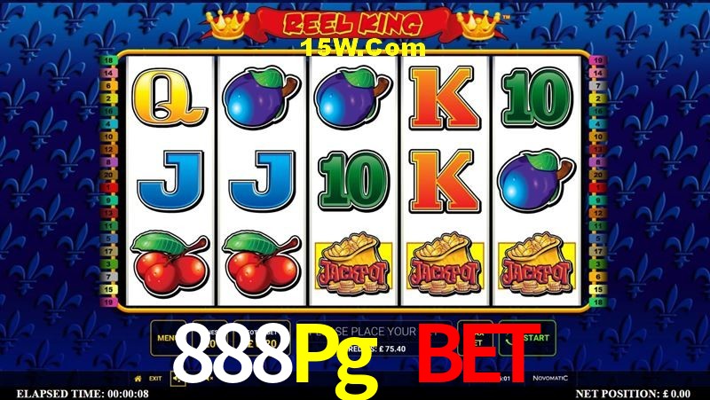 Game Providers 888Pg Bet